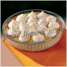 Форма круглая Pyrex 260 мм 818B000