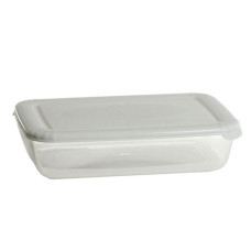 Емкость прямоугольная для морозилки Plast Team Polar 0,45 л 165х108х40 мм 1670