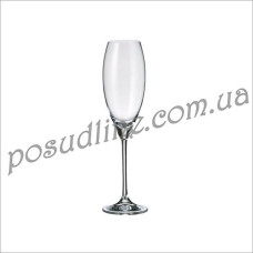 Набор бокалов для шампанского Bohemia Cecilia(Carduelis) 290 мл 6 пр b1SF06