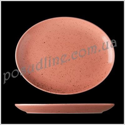 Блюдо овальное G.Benedikt Life style 28х22 см TERRACOTTA LST3028