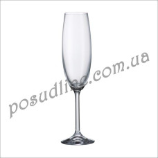 Набор бокалов для шампанского Bohemia Colibri (Gastro) 220 мл 6 пр b4S032-220