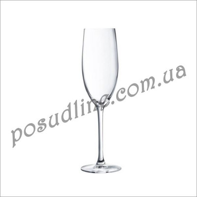Бокал для шампанского Chef&Sommelier Cabernet 240 мл D0796