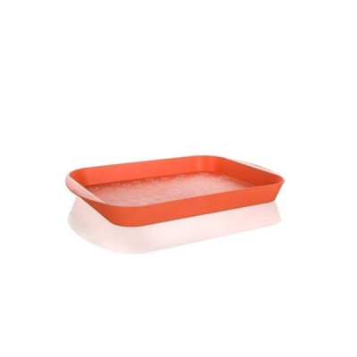 Поднос пластиковый Pastelle 44,5x29,5x4 см оранжевый 12532003