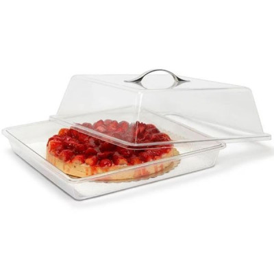 Контейнер с крышкой Bora Plastik 33x33x13,5 см BO363
