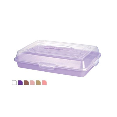 Тортовница прямоугольная Violet House MIX 10x30x44 см