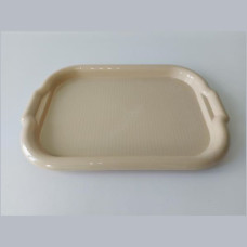 Поднос пластмассовый 22x30 см 05677